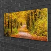 tulup.si Slika na akrilnem steklu Narava rastlin forest lane 100x50 cm 4 obešalnika