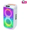 SAL bežični zvučnik sa mikrofonom, BT, LED efekt, 60 W, PAR216WH