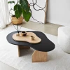 HANAH HOME Sto za dnevnu sobu Melted Black Sapphire Oak