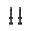 Giant Tubeless 24&30mm Ventili