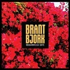 Brant Bjork - Bougainvillea Suite (Limited Edition) (Blue Coloured) (LP)