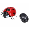 Ladybug velikan RC daljinski upravljalnik 9 cm - češka embalaža