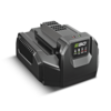 EGO POWER+ STANDARDNI POLNILEC CH2100E