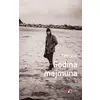 Godina majmuna