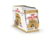 ROYAL CANIN ROYAL CANIN Shih Tzu mokra hrana za odrasle pse Pté, 12x85 g, za splošno zdravje in nego kože ter kožuha