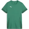 Dres Puma teamGOAL Matchday Jersey Wmns