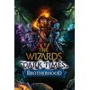 The Wizards - Dark Times: Brotherhood Steam Key (PC) GLOBAL