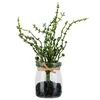 Mömax Umetna Rastlina Oregano Ii
