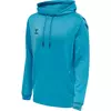 moški pulover s kapuco hmlCORE XK POLY SWEAT
