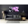 tulup.si Steklena slika Flower na wall 120x60 cm 4 obešalnika