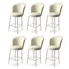 Hanah Home Set barskih stolica Alte, 6 komada, Krem