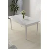 Hanah Home Trpezarijski sto Nil, 110x76x71 cm, Beli