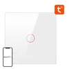 Avatto Pametno stikalo ZigBee ZTS02-EU-W1 1 Way TUYA (belo)