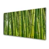 tulup.si Slika na akrilnem steklu Bamboo poganjki bamboo forest 120x60 cm 4 obešalnika