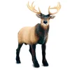 Safari Jelen Wapiti