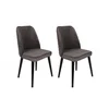 Hanah Home Set stolica Tutku-301 V2, 62x75x51.5 cm, 2 komada, Tamnosive