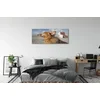 tulup.si Steklena slika Brown pes na plaži 140x70 cm 4 obešalnika