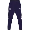 Puma teamRISE Poly Trg Pants Jr