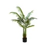 Lilium stablo palma areka 1,2m 599451