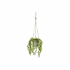 Umetna rastlina (višina 34 cm) – Casa Selección