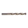 Milwaukee Pakovanje 10 burgija THUNDERWEB HSS-G 10/1, 10.5x133x87mm