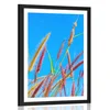 Plakat s paspartujem divja trava pod modrim nebom - 40x60 silver