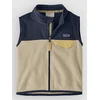 Patagonia Micro D Snap-T Kids Vest weathered stone