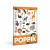 POPPIK Edukativni poster s nalepnicama Mini otkrića: Braon boja