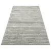 Conceptum Hypnose Tepih 120x180cm Sivi