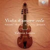 viola DAMORE SOLO
