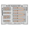 1:48 Seatbelts RAF Late - Steel