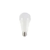 LED sijalica A65 E27/18W/230V 4200K
