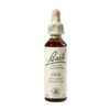 Bach Pine, kapljice št. 24 - bor, 20 ml
