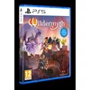 PS5 Wildermyth