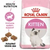 Royal Canin Suva hrana za mačiće Kitten 36 - 10kg