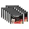 Cesar Creations vrečke z govedino in piščancem v želeju 12 x (4x100 g)