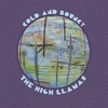 The High Llamas - Cold And Bouncy (Reissue) (2 LP)