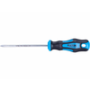 Extol Premium Phillips izvijač phillips, PH 1x100mm, CrV