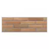 Ascot Fuego 20x60