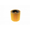 VACS Hepa filter KÄRCHER WD 3 Premium - 1 kom