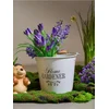 Sinsay - Metalna kanta sa ručkom i natpisom Home Gardener - belo