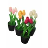 Lilium dekorativne lale u saksiji natural 24cm DHE13569