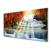 tulup.si Slika na steklu Forest slap narava 100x50 cm 2 obešalnika