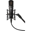 Warm Audio WA-87 Jr Black