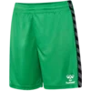 HMLAUTHENTIC PL SHORTS KIDS