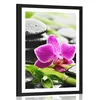 Plakat s paspartujem wellness tihožitje z vijolično orhidejo - 20x30 silver