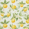 ZUNANJI DECORATIVES OXFORD - Citrusi - DX2939