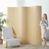 Homestyle4U Pregradna stena, 200x250 cm, bež