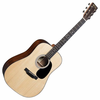 MARTIN elektro akustična kitara D-12E Sit/Sapele (s torbo)
