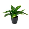 FEJKA Veštačka biljka u saksiji, unutra/spolja/hosta, 9 cm